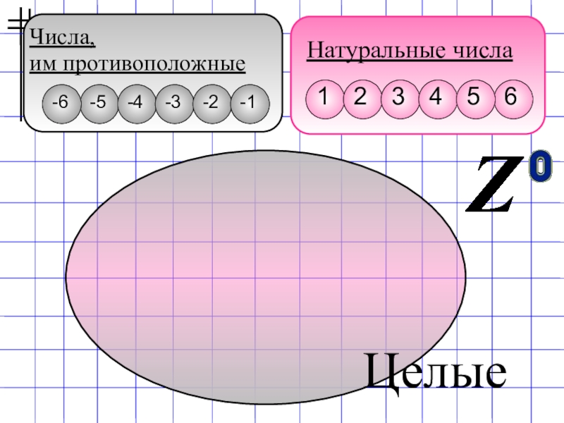 Рациональные числа 6 класс. Рациональные числа 6 класс презентация. Рациональные числа 6 класс Никольский презентация. Математика 6 урок на тему рациональные числа. Рациональные цифры 6 класс.