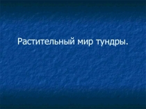 Презентация по биологии на тему Растительный мир ТУНДРЫ 11 класс