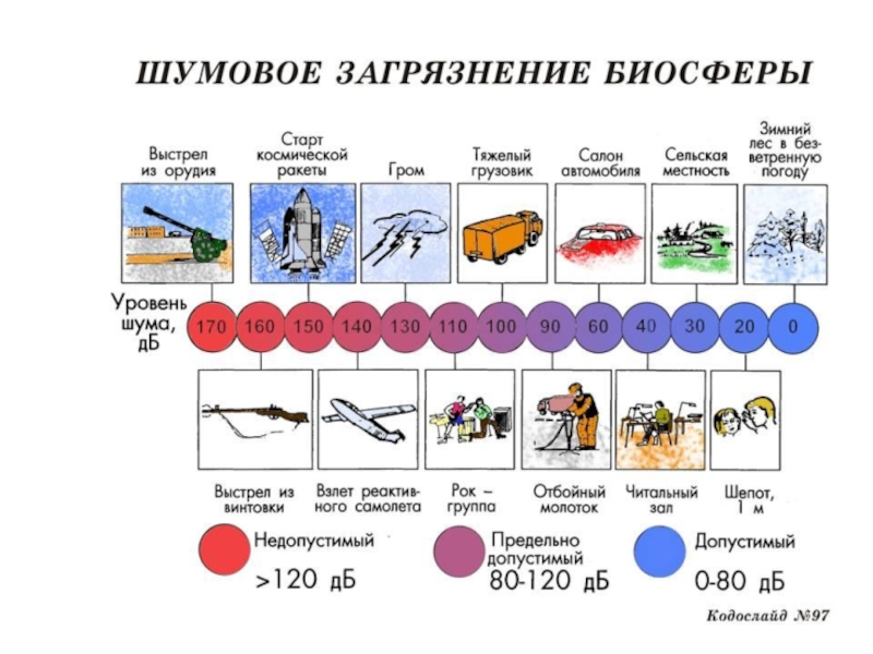 Шумовое загрязнение окружающей среды проект