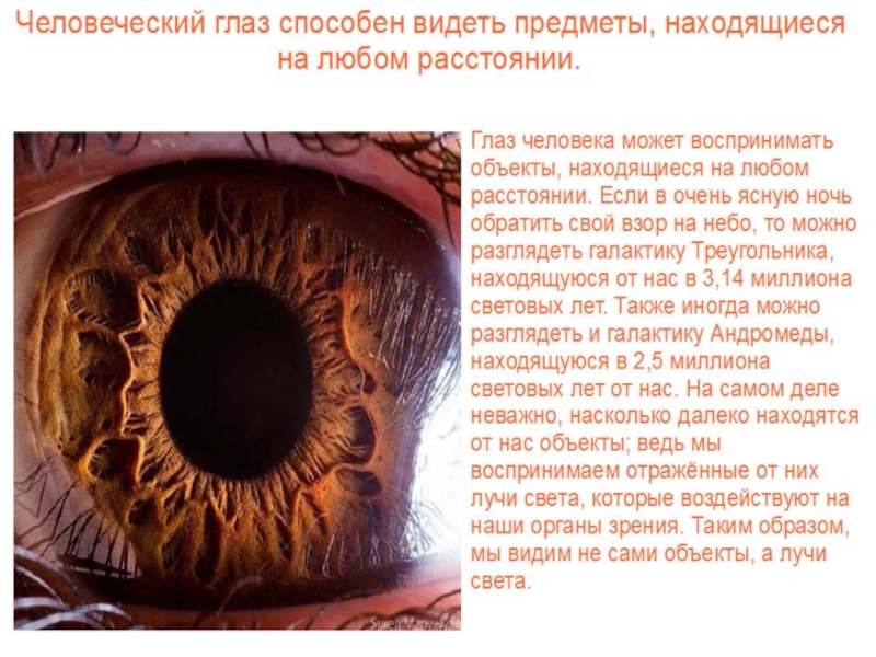 Глаз далека. Как видит человеческий гла. Человеческий глаз воспринимает. На какое расстояние видит человеческий глаз. Человеческий глаз способен воспринимать.