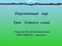 Презентация по окружающиму миру 2 класс Путешествие по странам