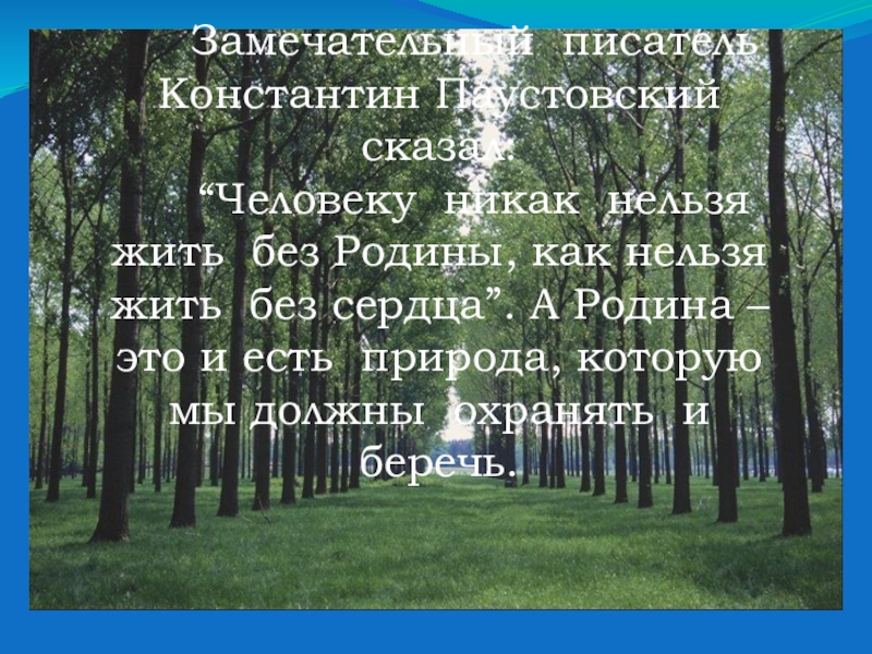 Цитата родная природа. Афоризмы о природе. Высказывания писателей о природе. Высказывания о родине. Высказывания писателей о природе родного края.