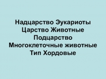 Презентация по биологии Тип Хордовые 7 класс