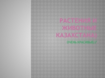 Животные и растения гор