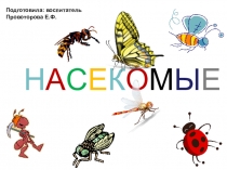 НЕВЕРОЯТНЫЕ ФАКТЫ ИЗ ЖИЗНИ НАСЕКОМЫХ