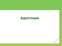 Презентация Адаптации 11 класс