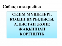 Көздің құрылысы тақырыбы бойынша биологиядан презентация (8 сынып)