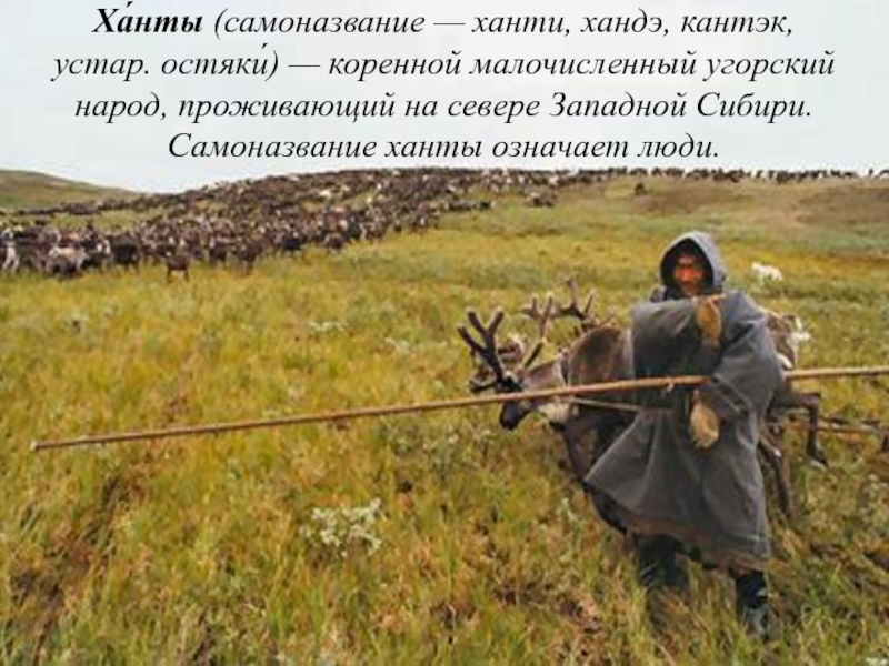 Ха́нты (самоназвание — ханти, хандэ, кантэк, устар. остяки́) — коренной малочисленный угорский народ, проживающий на севере Западной Сибири. Самоназвание