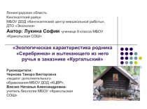 Презентация проекта на тему Экологическая характеристика родника Серебрянка и вытекающего из него ручья