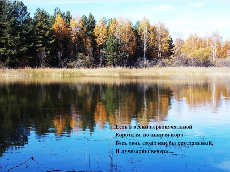 Есть в осени короткая но дивная. В осени первоначальной. Дивная пора. Есть в осени первоначальной картинки с надписями. Чего начальной короткая но дивная пора весь день смотреть.