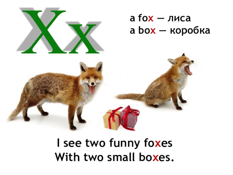 Two small перевод. I see two funny Foxes with two small Boxes. Лиса, коробка английский. Фокс лиса проект алфавит. A Fox with a Box.