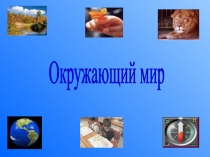 Презентация по теме: Мышцы.