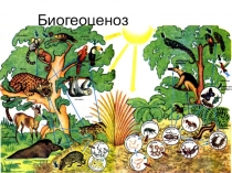Презентации по биологии на тему Биогеоценоз