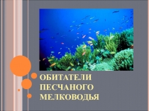 Обитатели песчаного мелководья