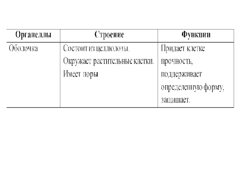 Что придает прочность клетке