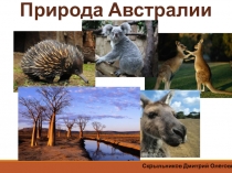 Презентация по географии на тему Природа Австралии