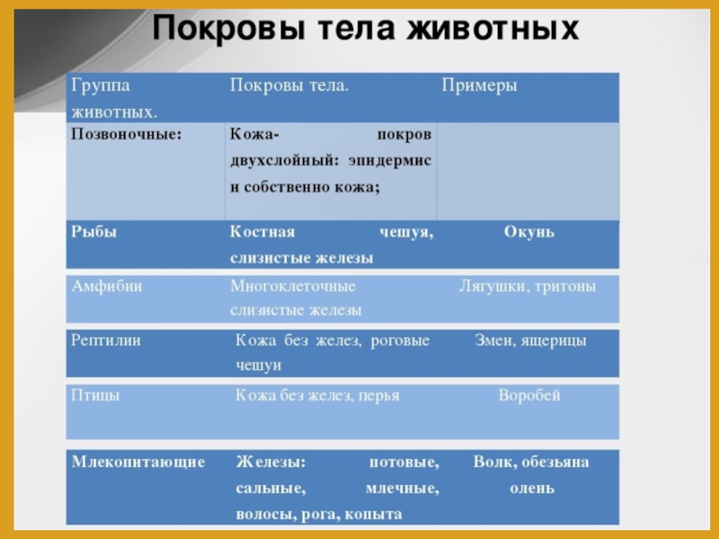 Покровы тела животных таблица 8 класс. Покровы тела животных. Особенности покровов позвоночных животных. Покровы тела животных таблица. Покровы тела позвоночных животных.