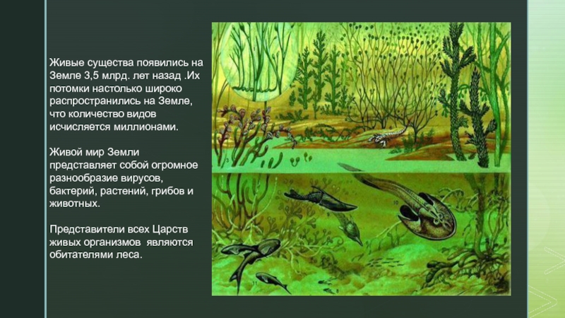 эволюция жизни на земле. неоген австралопитеки. динозавры морские плезиозавр. австралопитек питекантроп неандерталец. дарвин обезьяны эволюция.