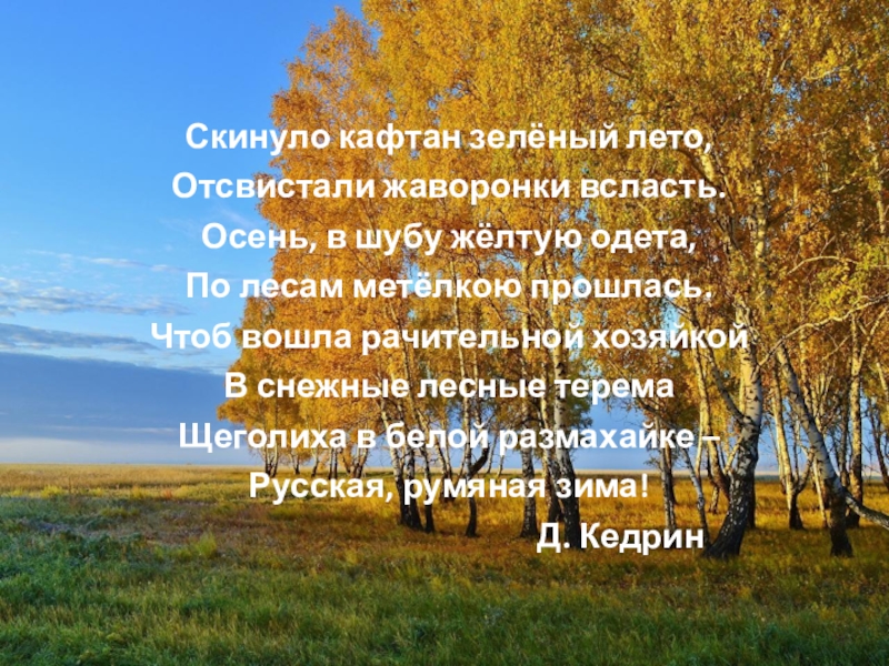 Презентация родная природа