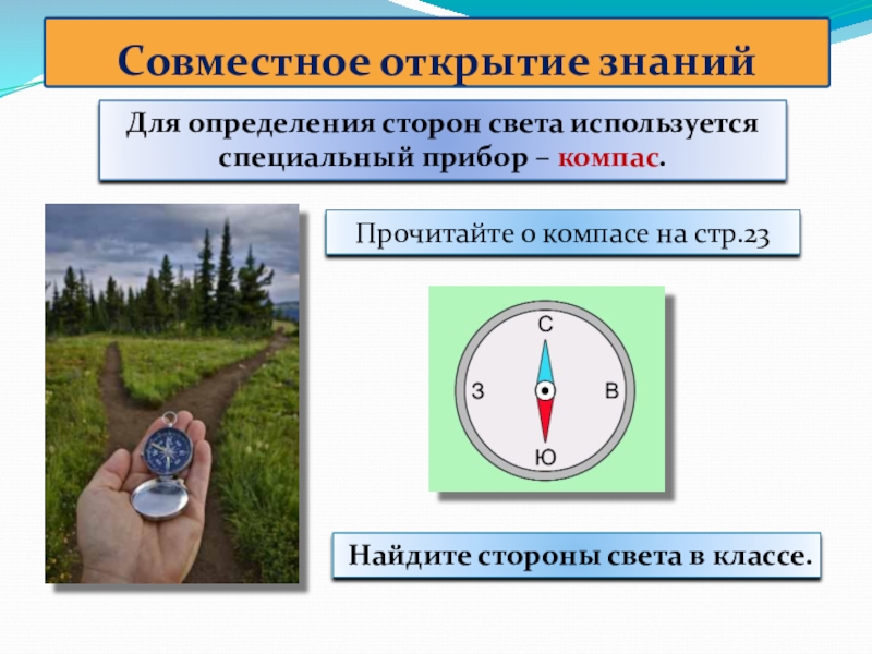 Компас определить стороны света. Прибор для определения сторон света. Как определить стороны света. Природный компас. Какой прибор используется для определения сторон света.