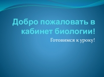 Наземно-воздушная среда