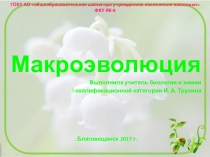 Презентация по биологии на тему Макроэволюция