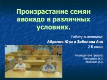 Исследовательская работа  Произрастание семян авокадо в различных условиях