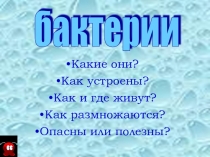 Презентация по биологии на тему Бактерии