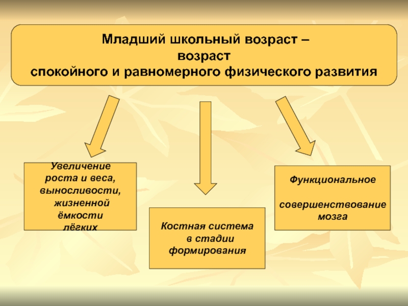 Реферат: Психологическое развития личности в младшем школьном возрасте