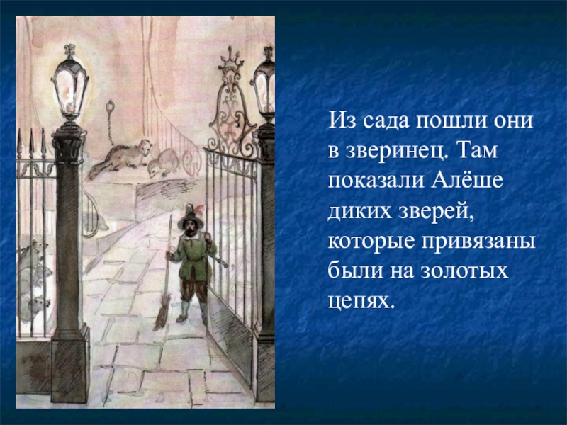 Из сада пошли они в зверинец. Там показали Алёше диких зверей, которые привязаны были на