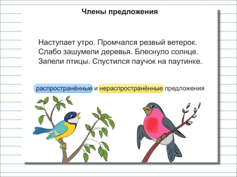 Нераспространенное предложение переделать в распространенное цветок расцвел мама спит валя рисует