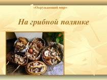 Презентация по окружающему миру Грибная полянка (1 класс)