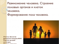 Разработка Строение половой системы человека