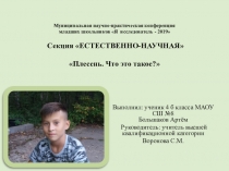 Большаков Артём 4 класс Презентация по теме Плесень. Что это?