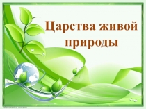 Презентация Царство живой природы