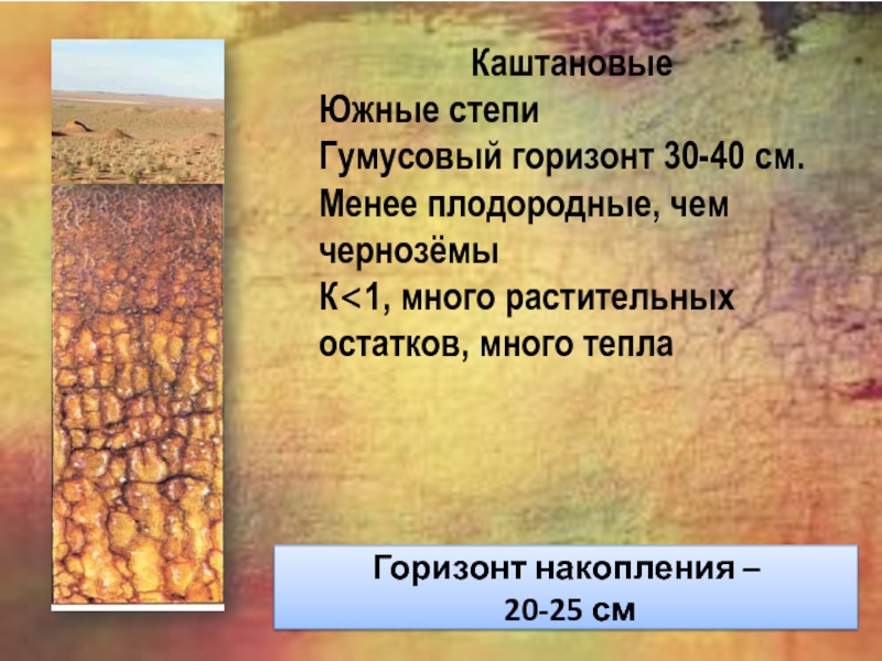 Мощный гумусовый горизонт тип почвы. Типы почв России и их география презентация. Горизонт накопления. Типы почв Турции. Типы почв 8 класс география.