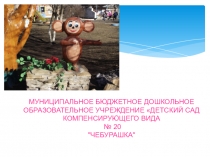 Поддержка и развитие детей с тяжёлыми нарушениями речи в коррекционном детском саду