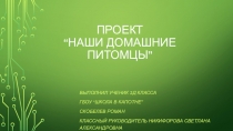 Проект по окружающему миру: Мой домашний питомец 2 класс