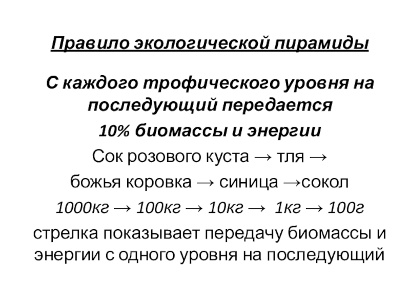 Правило экологической пирамидыС каждого трофического уровня на последующий передается 10% биомассы и энергии  Сок розового куста