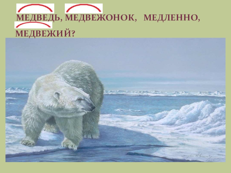 Медведь корень. Корень в слове медведь и Медвежонок. Медведь однокоренные. Медведь однокоренные слова. Корень слова медведь.