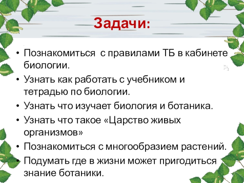 Сочинение Про Урок Биология В Научном Стиле