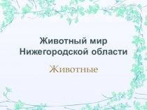 Презентация по географическому краеведению Животный мир Нижегородской области