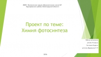 Презентация по биологии Химия фотосинтеза