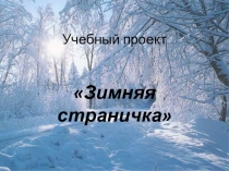 Презентация по литературному чтению на тему Зимняя страничка (2 класс)
