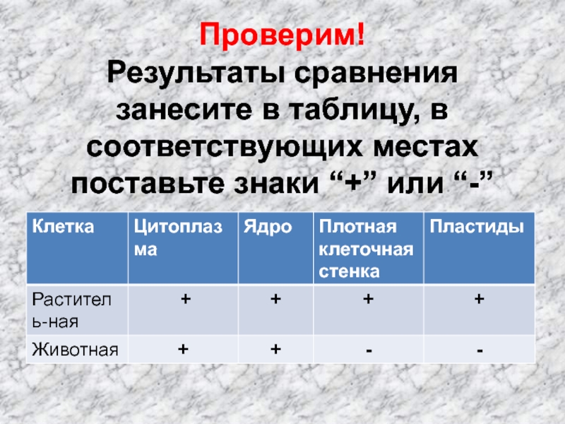 Сравнить результаты. Результаты сравнения занесите в таблицу. Сравните растения. Результаты сравнения занесите в таблицу:. Таблица клетки ядро плотная клеточная стенка. Сравните два микропрепарата Результаты сравнения занесите в таблицу.