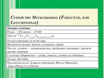 Презентация Ботаника семейство Бобоцветные