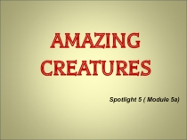 Презентация к Spotlight 5(Module5) 'Amazing creatures