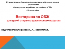 Презентация Викторина по ОБЖ  для детей старшего дошкольного возраста