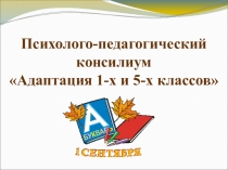 Презентация на психолого-педагогический консилиум Адаптация 1 и 5 классов