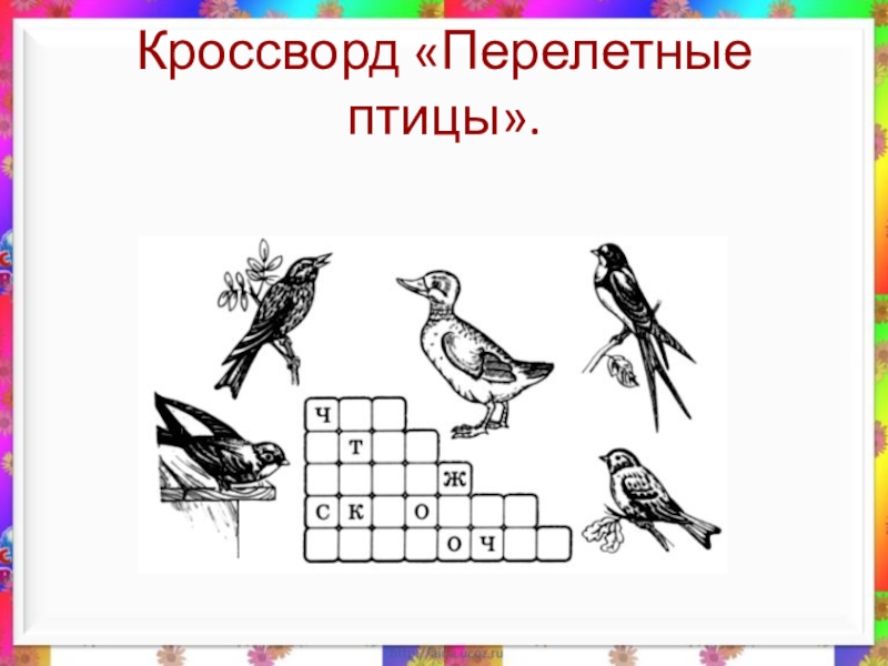 Зимующие птицы задания 1 класс. Перелетные птицы для дошкольников. Птицы задания для дошкольников. Кроссворд перелетные птицы.